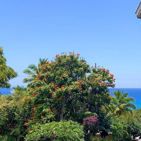 A Little Aloha Apartamento Kailua-Kona Exterior foto